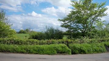 A rural road with a tree-lined hedge and a clear sky.
