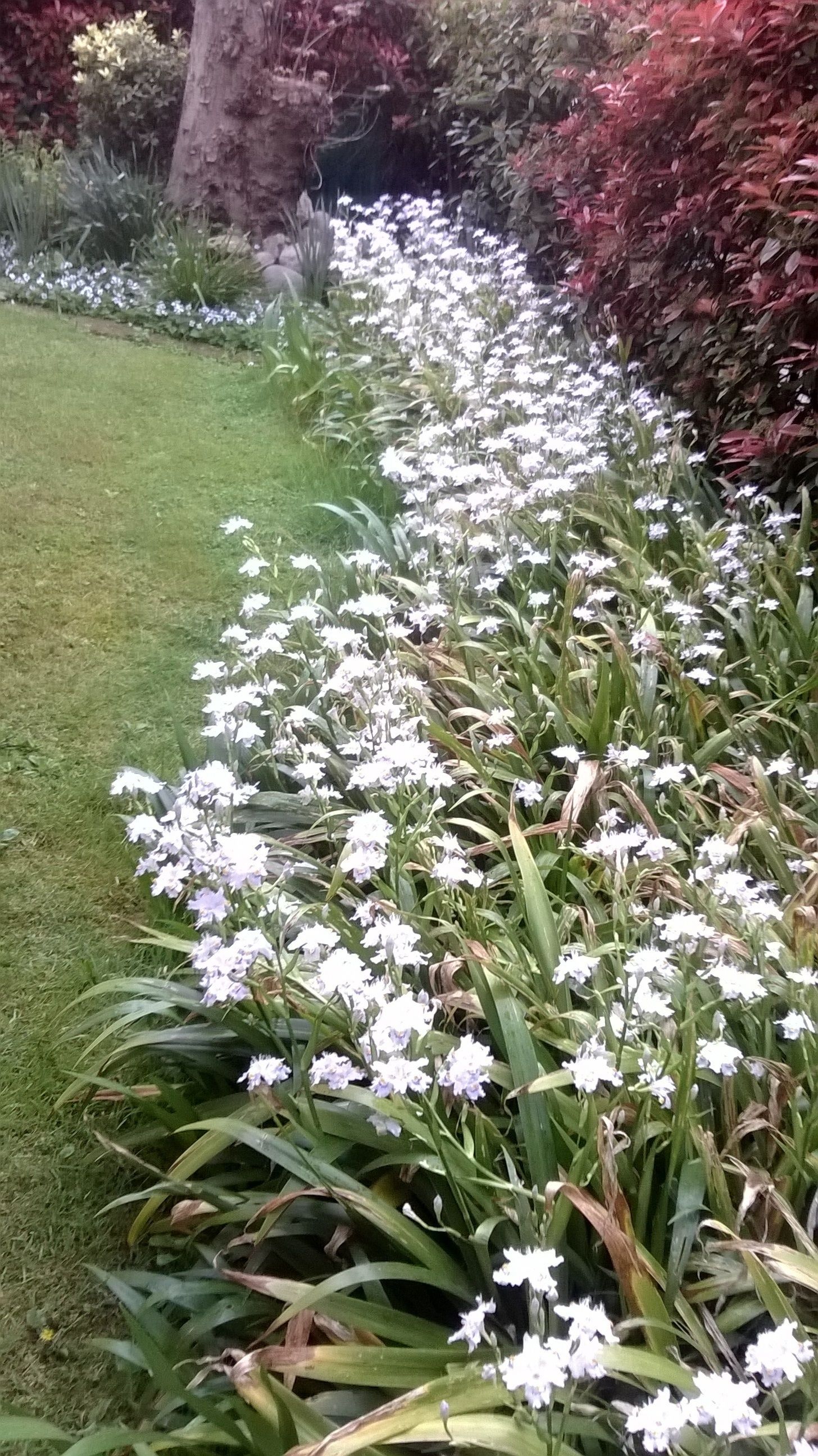 Pemandangan dari hartanah
