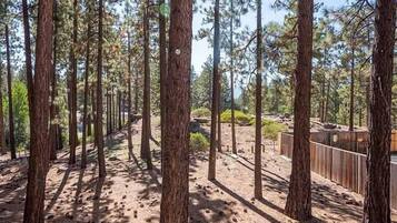 House, 3 Bedrooms | Kawasan hartanah