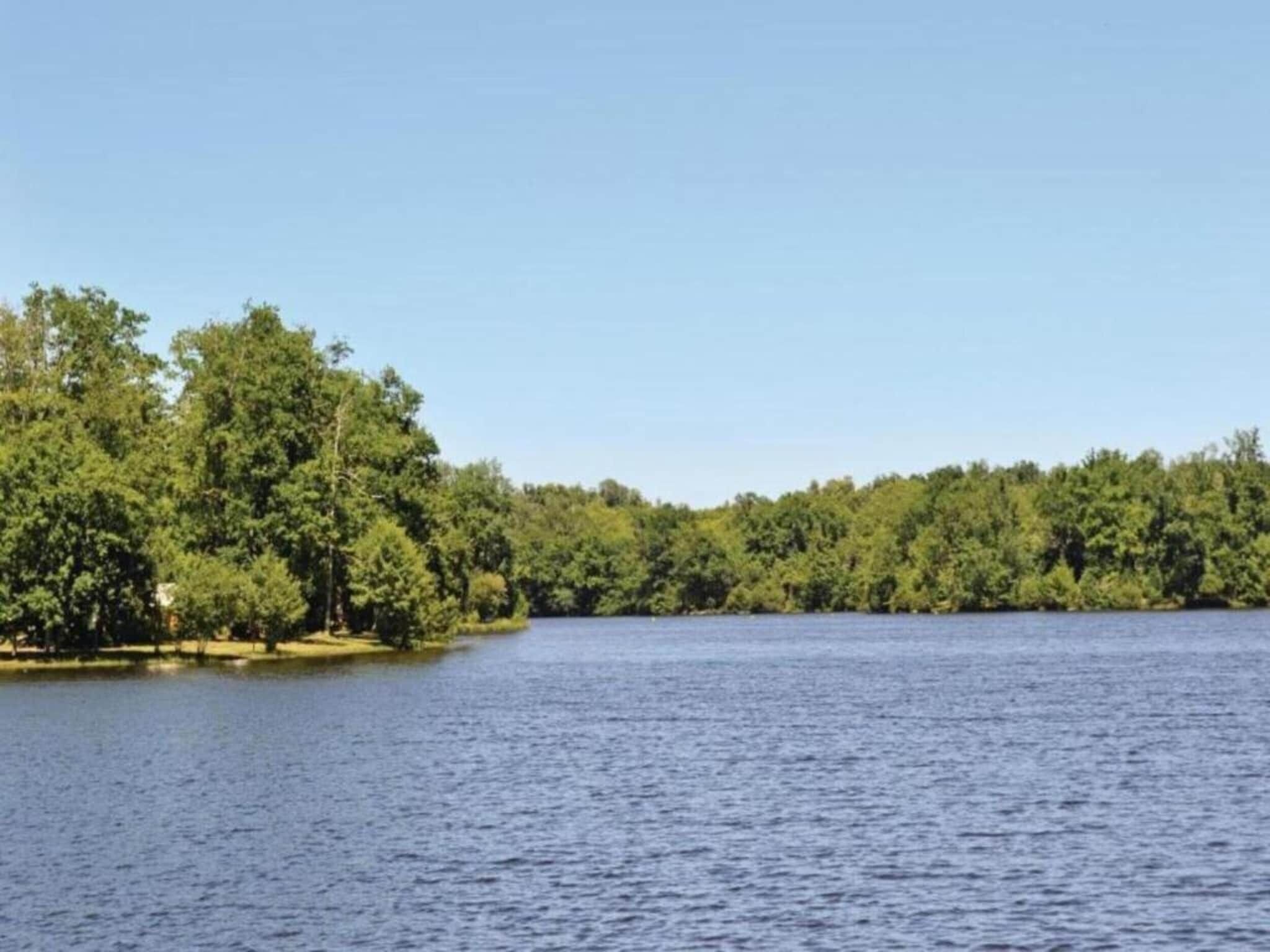 Ein ruhiger See, umgeben von dichtem Grün.