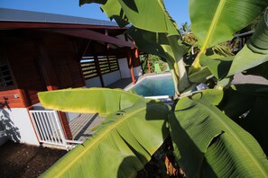 Piscina externa