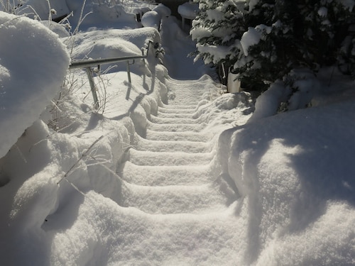 Ferienhaus, Schwarzwald