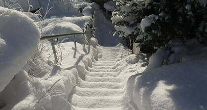 Ferienhaus, Schwarzwald
