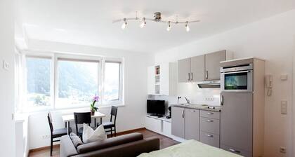 Apartment Kaprun near Ski Lift & Glacier