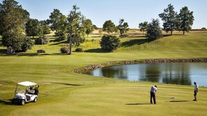 Een golfbaan met een vijver, bomen en een golfkar.
