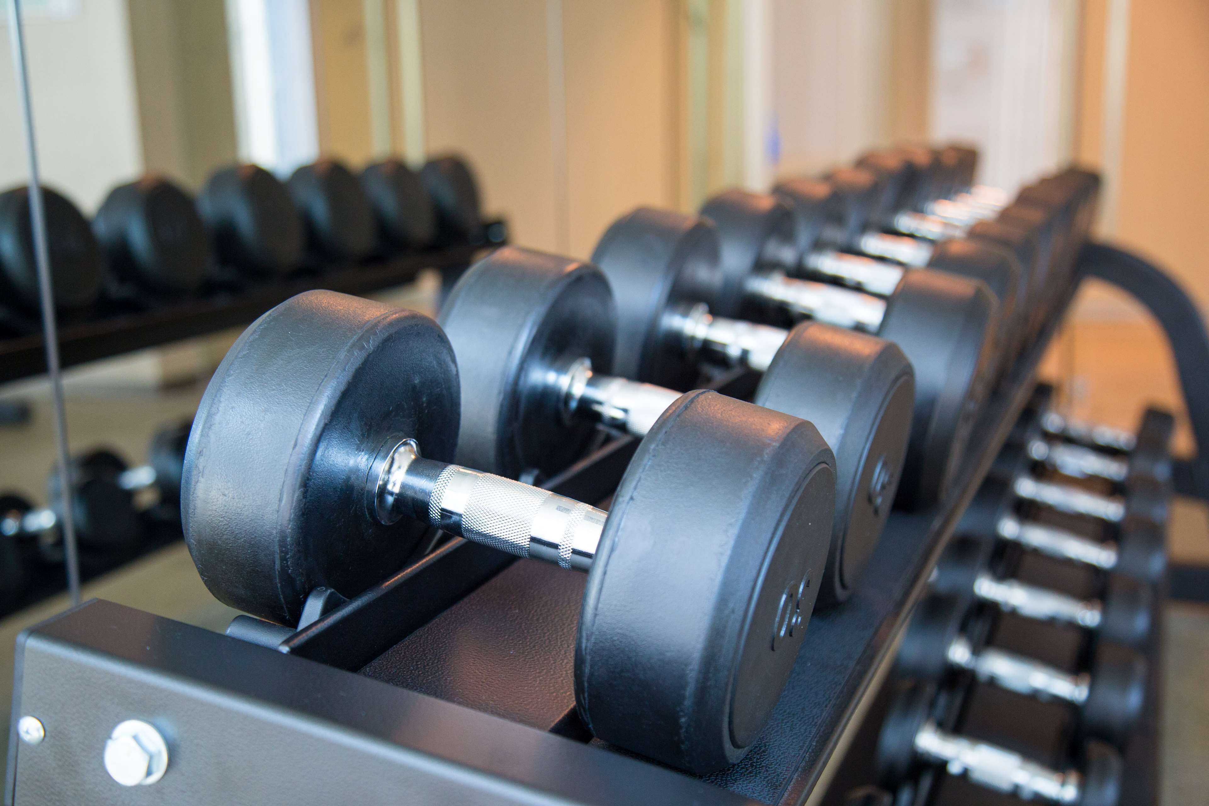 A row of black dumbbells on a rack in a gym.