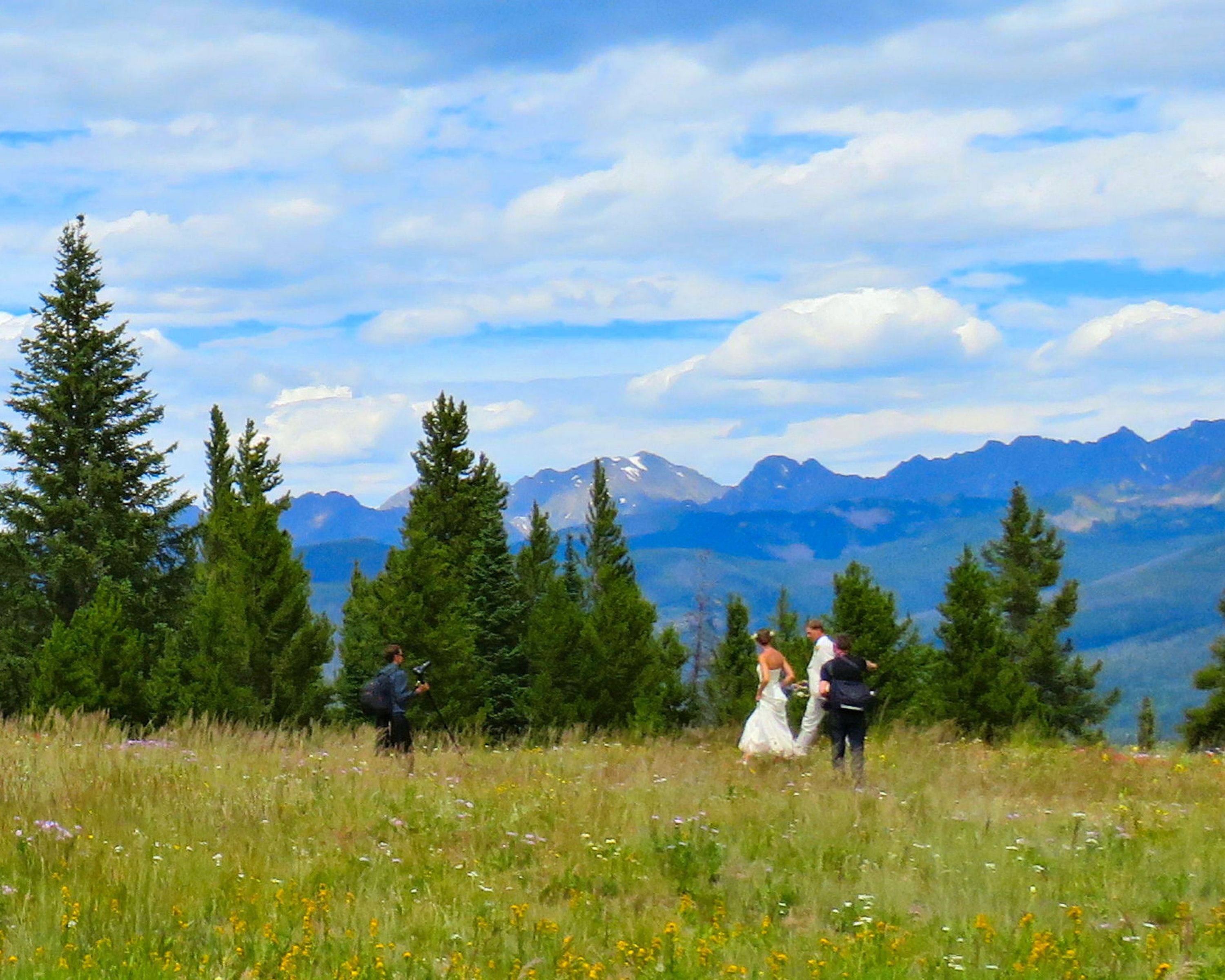 A wedding ceremony in a mountainous area with a clear sky and pine trees.