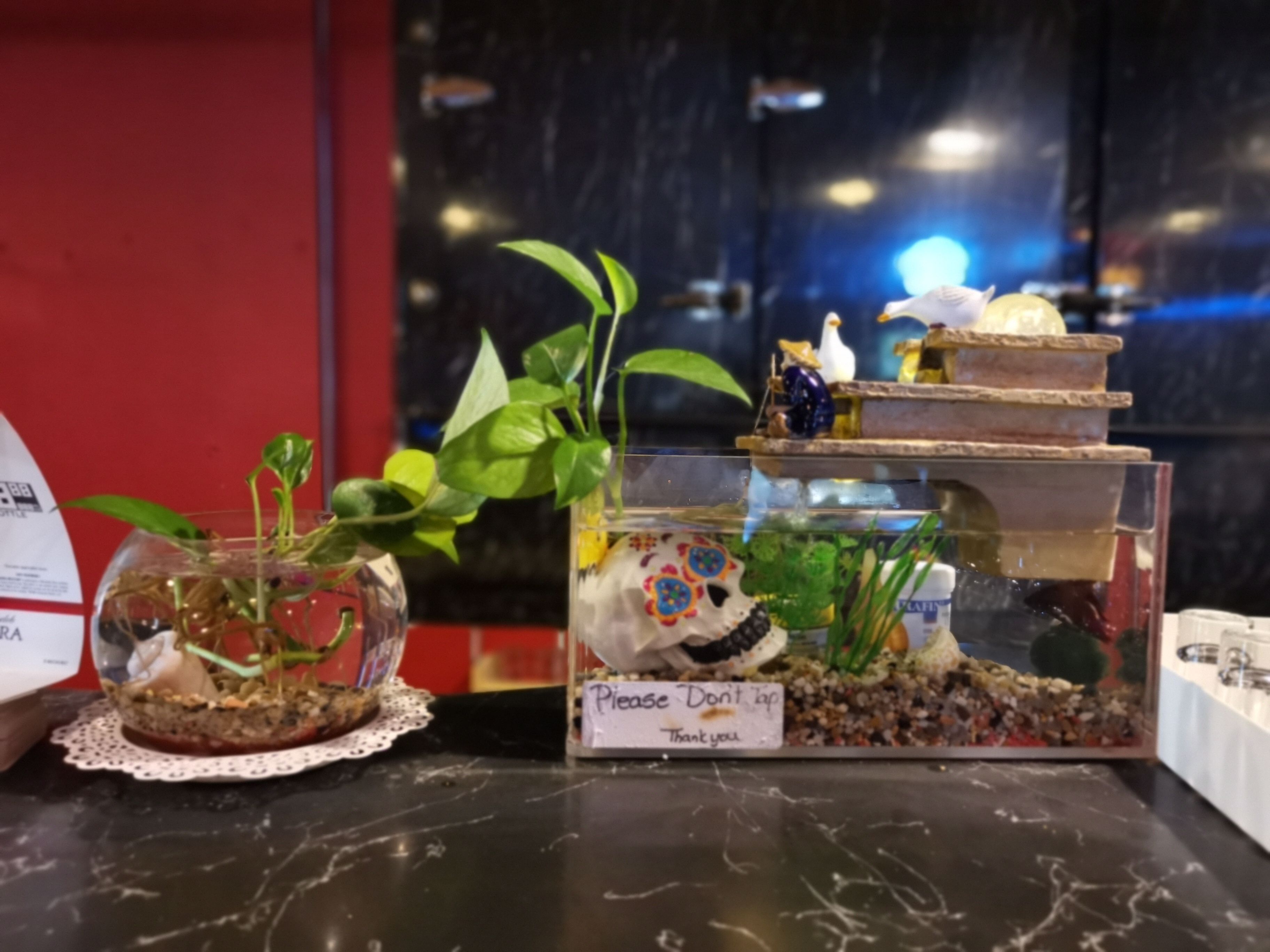 Une table sur laquelle se trouve un terrarium en verre contenant une plante et un objet décoratif, un petit terrarium avec un message, et une pile de livres.