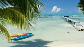 Trên bãi biển, lặn có bình dưỡng khí