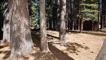 Hytte, 3 soverom | Overnattingsstedets uteområder