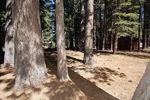 Cabin, 3 Bedrooms | Property grounds - 1870 Bella Coola Drive 3 Bedroom Cabin by RedAwning (South Lake Tahoe)