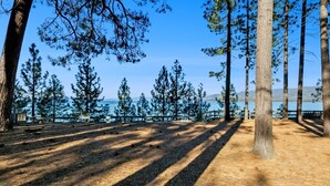 A campground with picnic tables and a view of a lake.