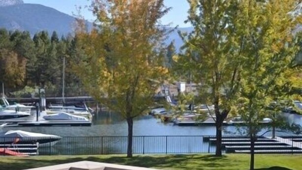 A marina with boats docked, a body of water, and trees in the foreground.
