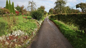 A narrow, paved country road flanked by lush greenery and flowering plants.