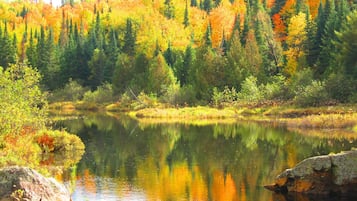 A serene lake surrounded by autumn-colored trees and a rocky shoreline.