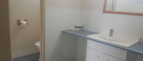 Une petite salle de bain avec des toilettes, un lavabo et un miroir.