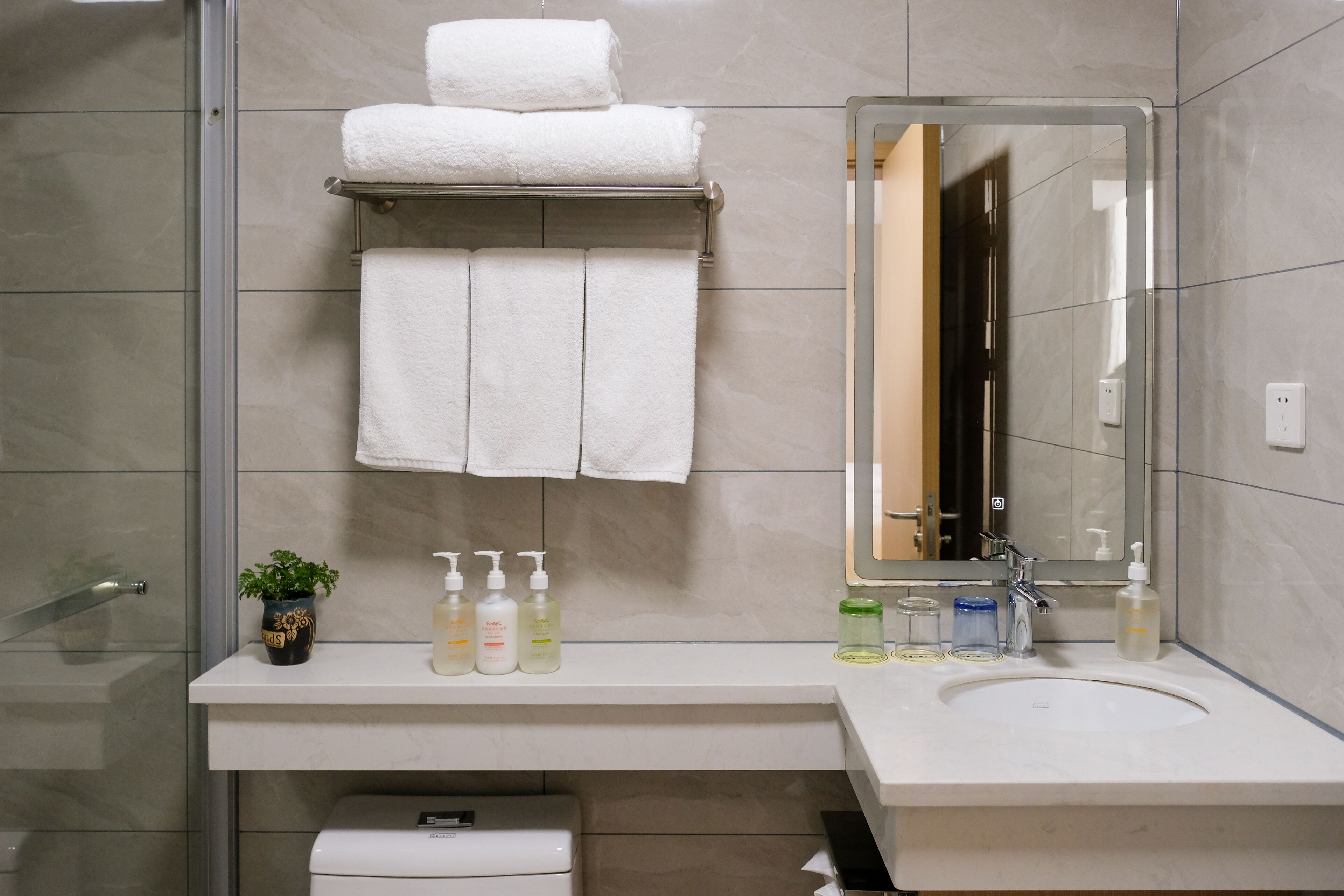 Un baño con mampara de vidrio, un lavamanos blanco y un espejo. Hay toallas en un perchero, una planta en maceta y artículos de tocador en la encimera.