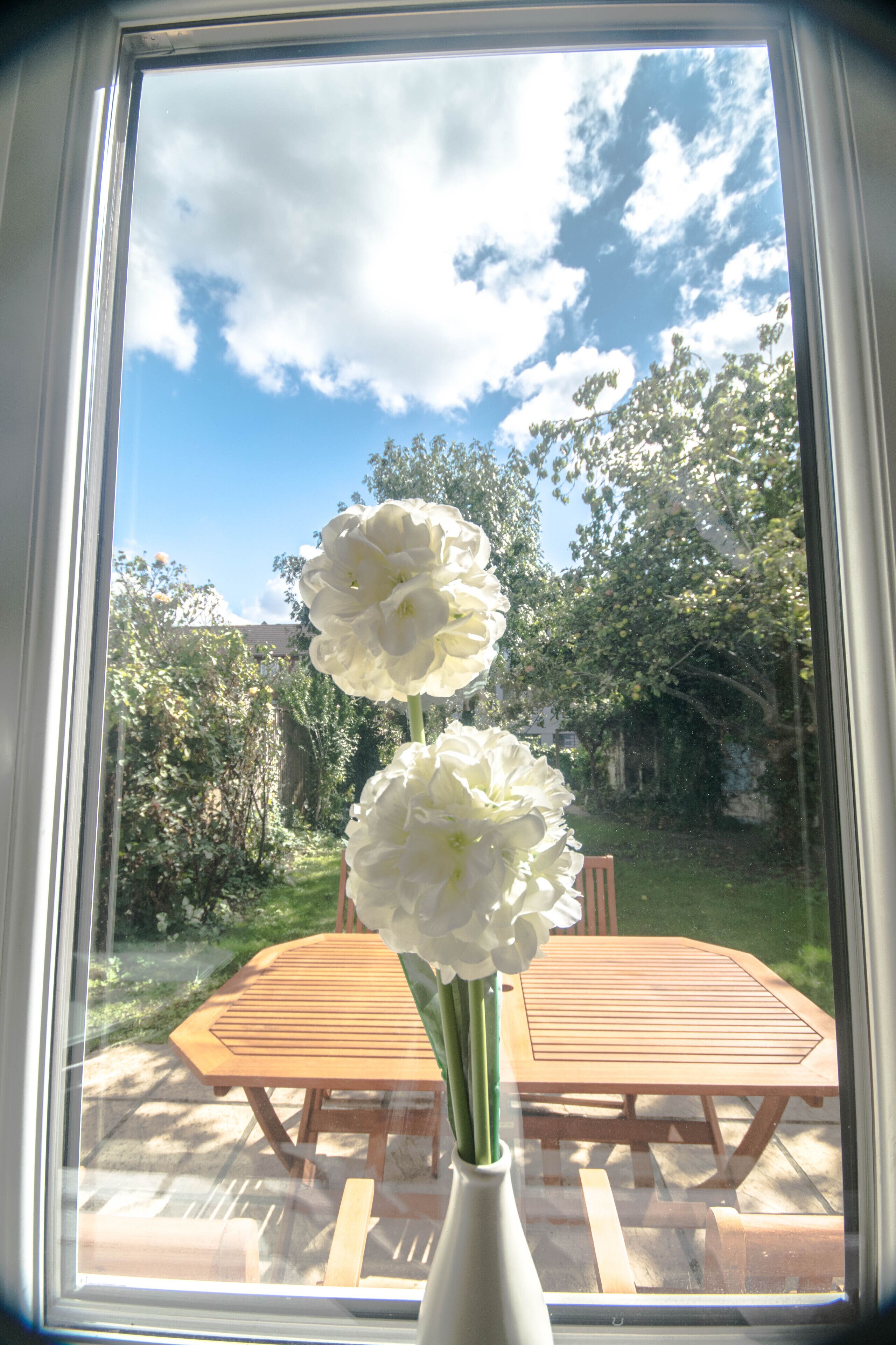 Studio | View from room