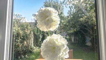 Studio | View from room