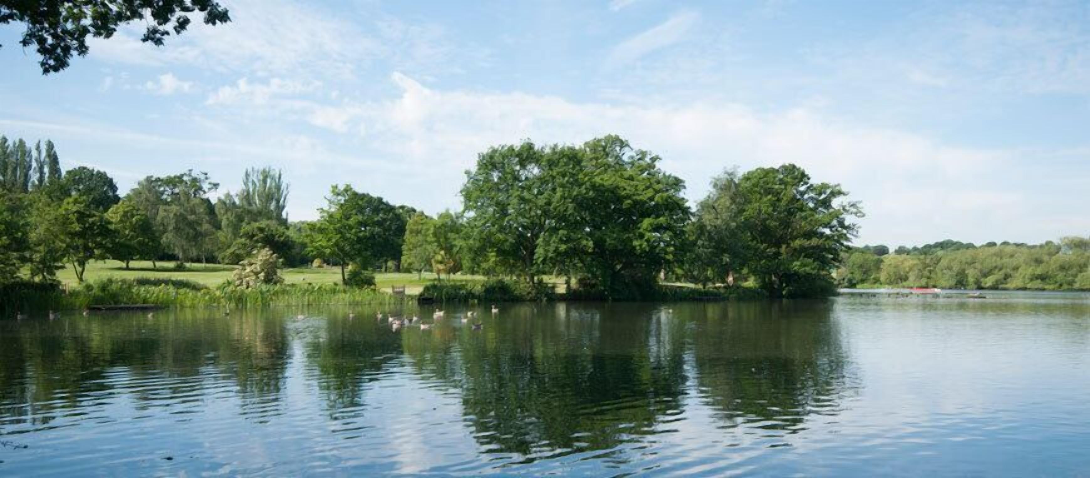 A tranquil lake surrounded by lush greenery and trees.
