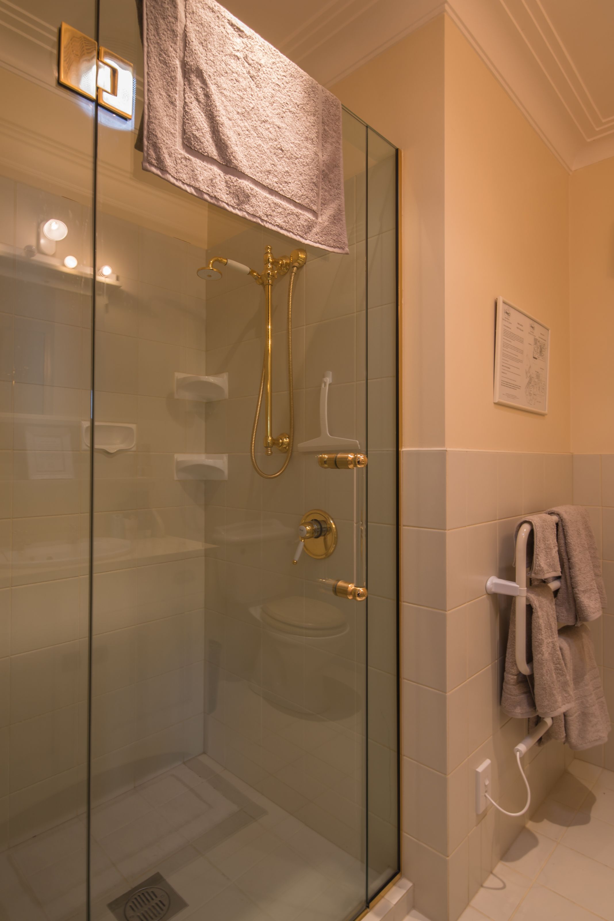 Een douche met glazen wand, een gouden douchekop en een handdoekrek met een handdoek.