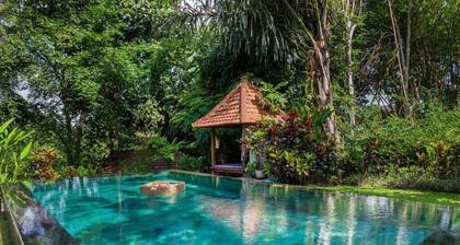 Sari Bamboo Villas