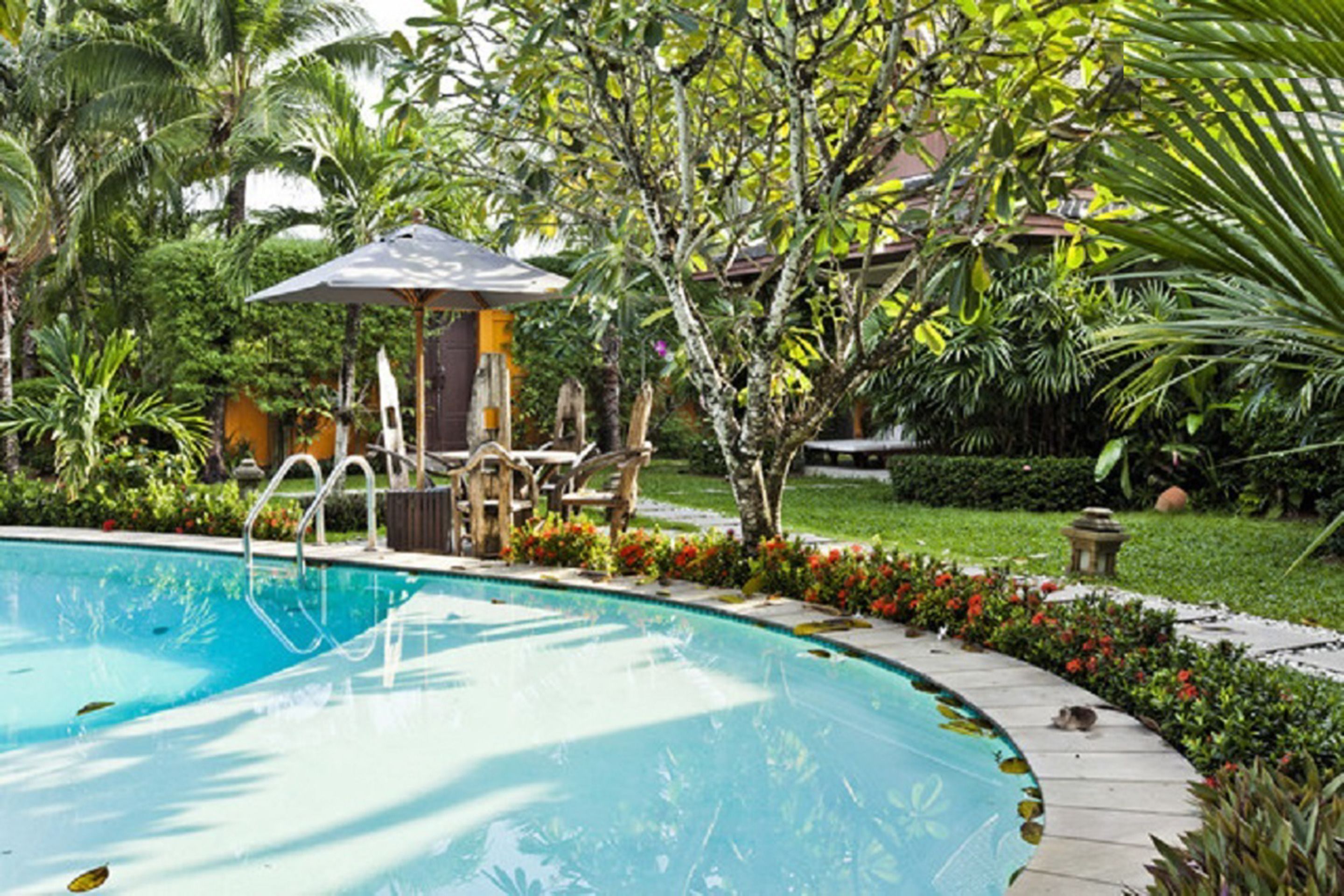 A swimming pool surrounded by lush greenery, a wooden deck, and a gazebo.