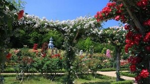 Ein Garten mit einem Pavillon, üppigem Grün und blühenden Pflanzen.