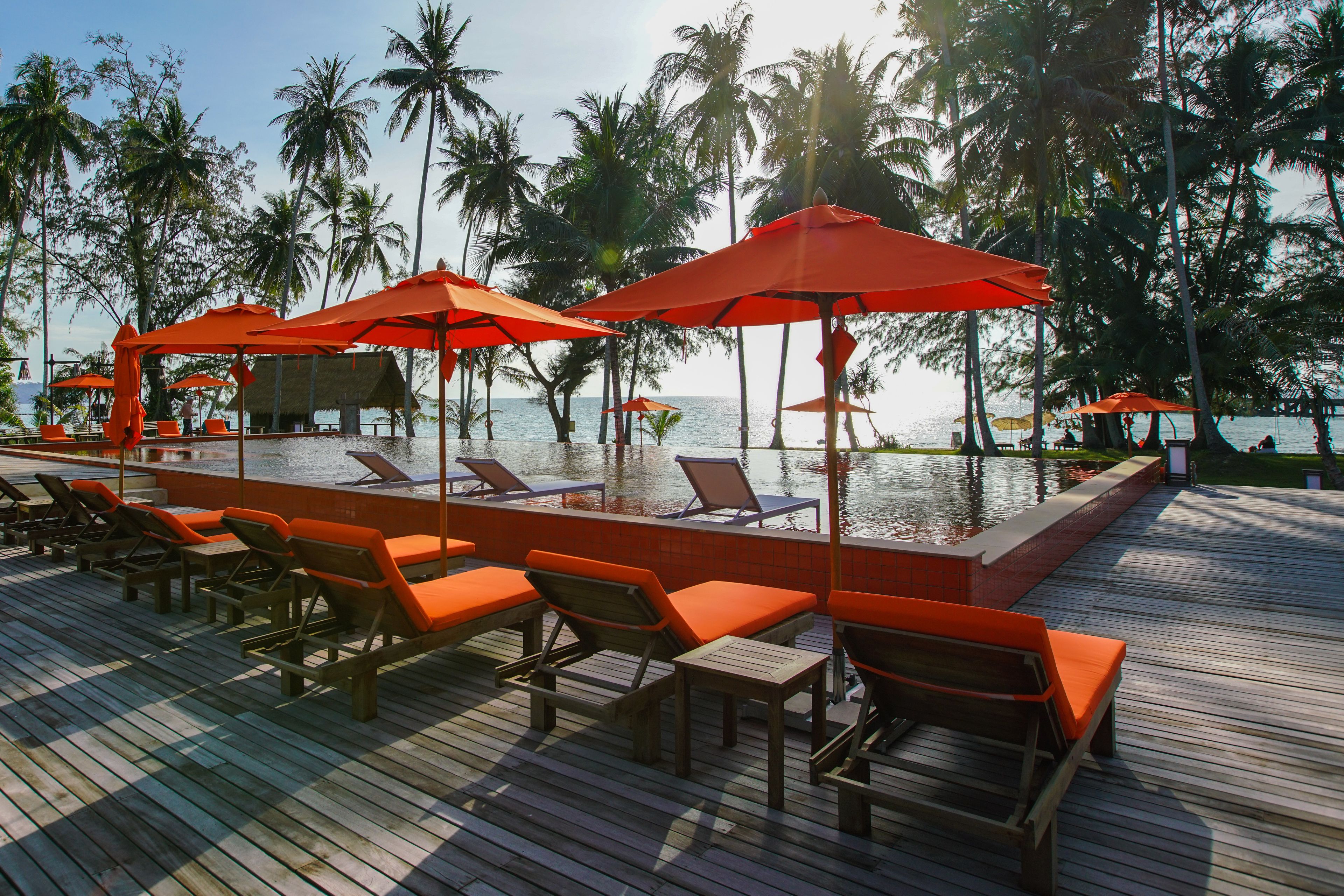 Une terrasse en bois avec des chaises longues et des parasols orange, donnant sur une piscine bordée de palmiers.