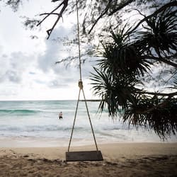 Plage, bar de plage