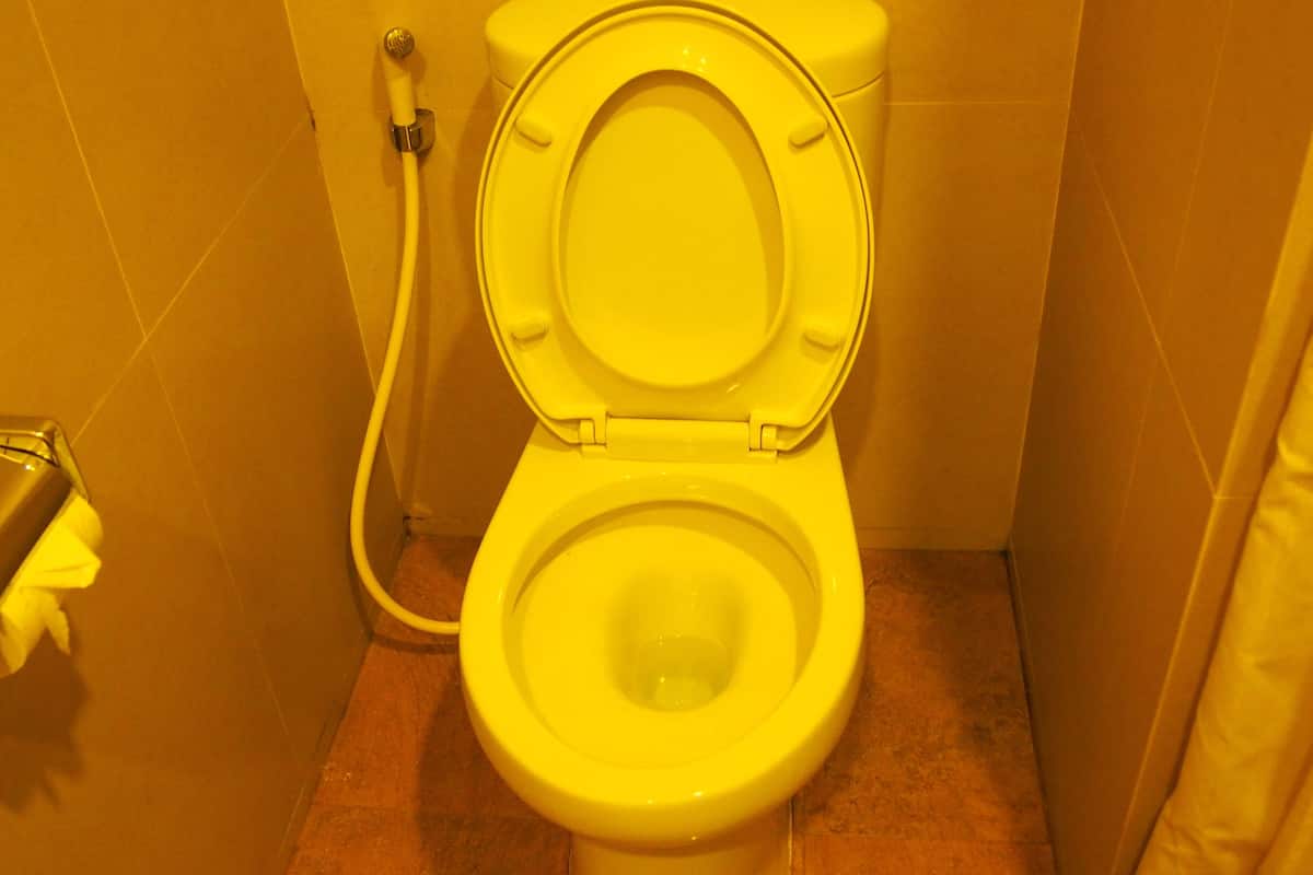 shower, free toiletries, slippers, towels