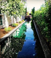 Outdoor pool, pool umbrellas, sun loungers