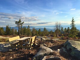 Actividades para niños