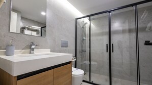 A modern bathroom with a glass-enclosed shower, a white sink, and a toilet.