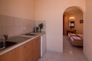 42-inch flat-screen TV with satellite channels, TV