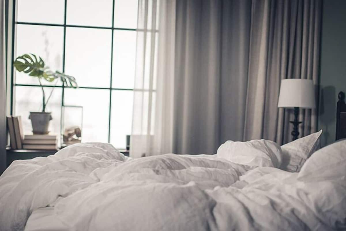 Una habitación de hotel con un ventanal grande, una lámpara de noche y una planta en maceta.