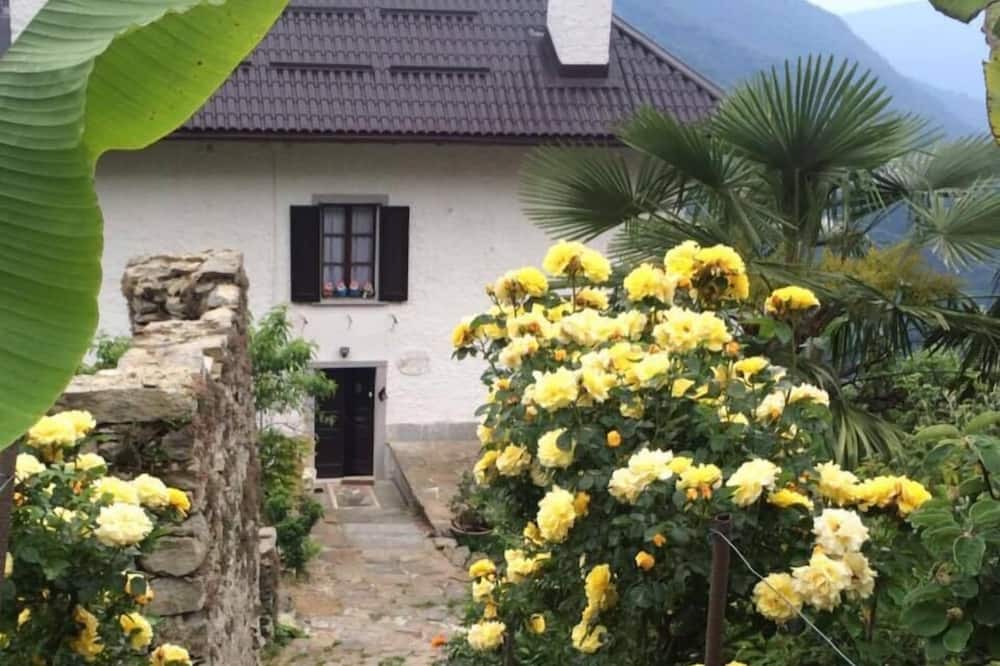 B&B La Locanda del Cinghiale