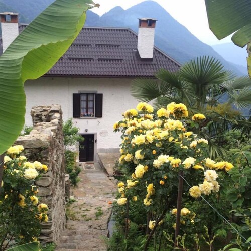 B&B La Locanda del Cinghiale