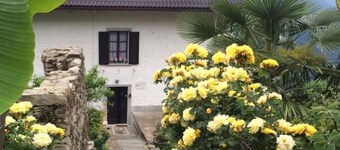 B&B La Locanda del Cinghiale