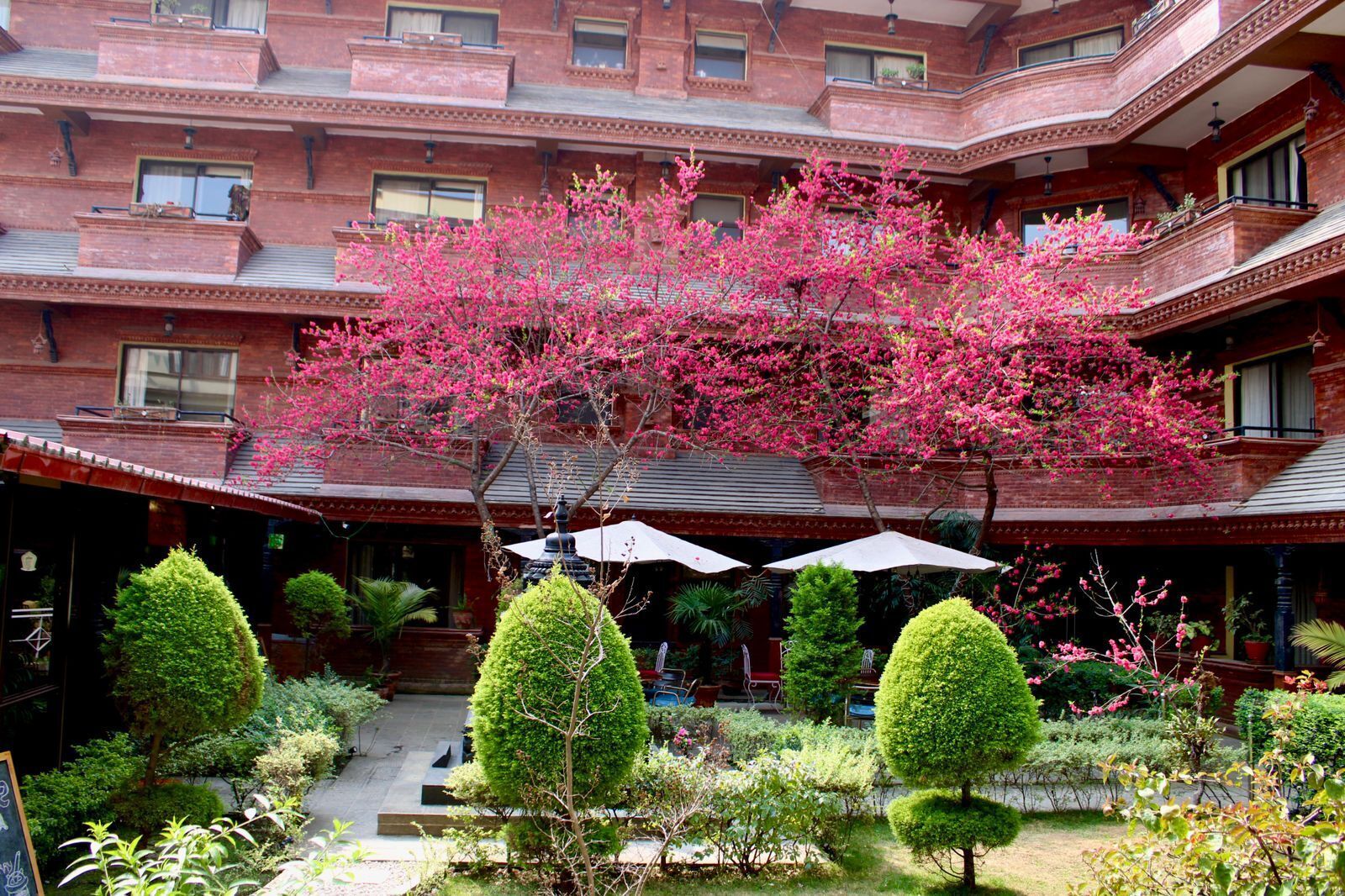 Photo - Hotel Siddhi Manakamana