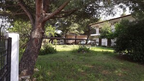 A residential area with a white building, a tree, and a metal gate. - Pefka Studios & Apartments (Sithonia)