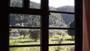A window with a view of a rural landscape, including trees, a field, and a distant building. - Pefka Studios & Apartments (Sithonia)