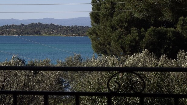 A coastal view with a clear blue sea, a distant mountain range, and a dense tree line. - Pefka Studios & Apartments (Sithonia)