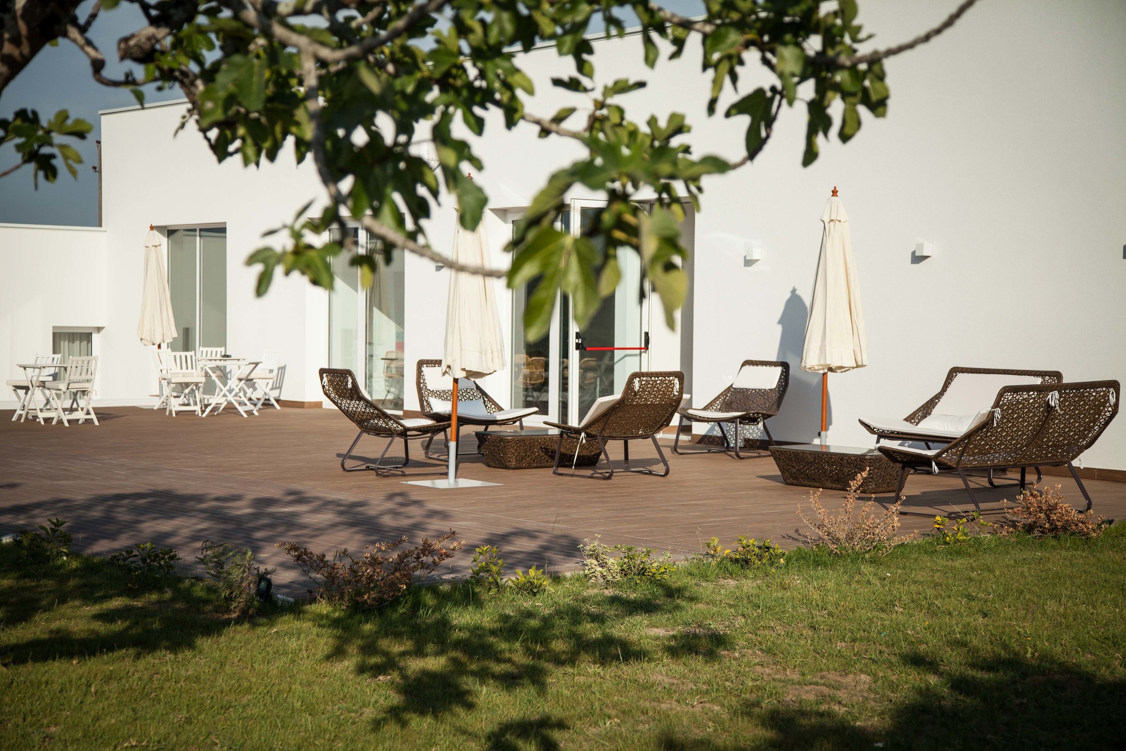 Een terras met stoelen en parasols, een wit gebouw op de achtergrond en een boom in de voorgrond.