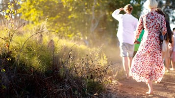 Un entorno natural al aire libre con un sendero de tierra, vegetación densa y gente caminando.