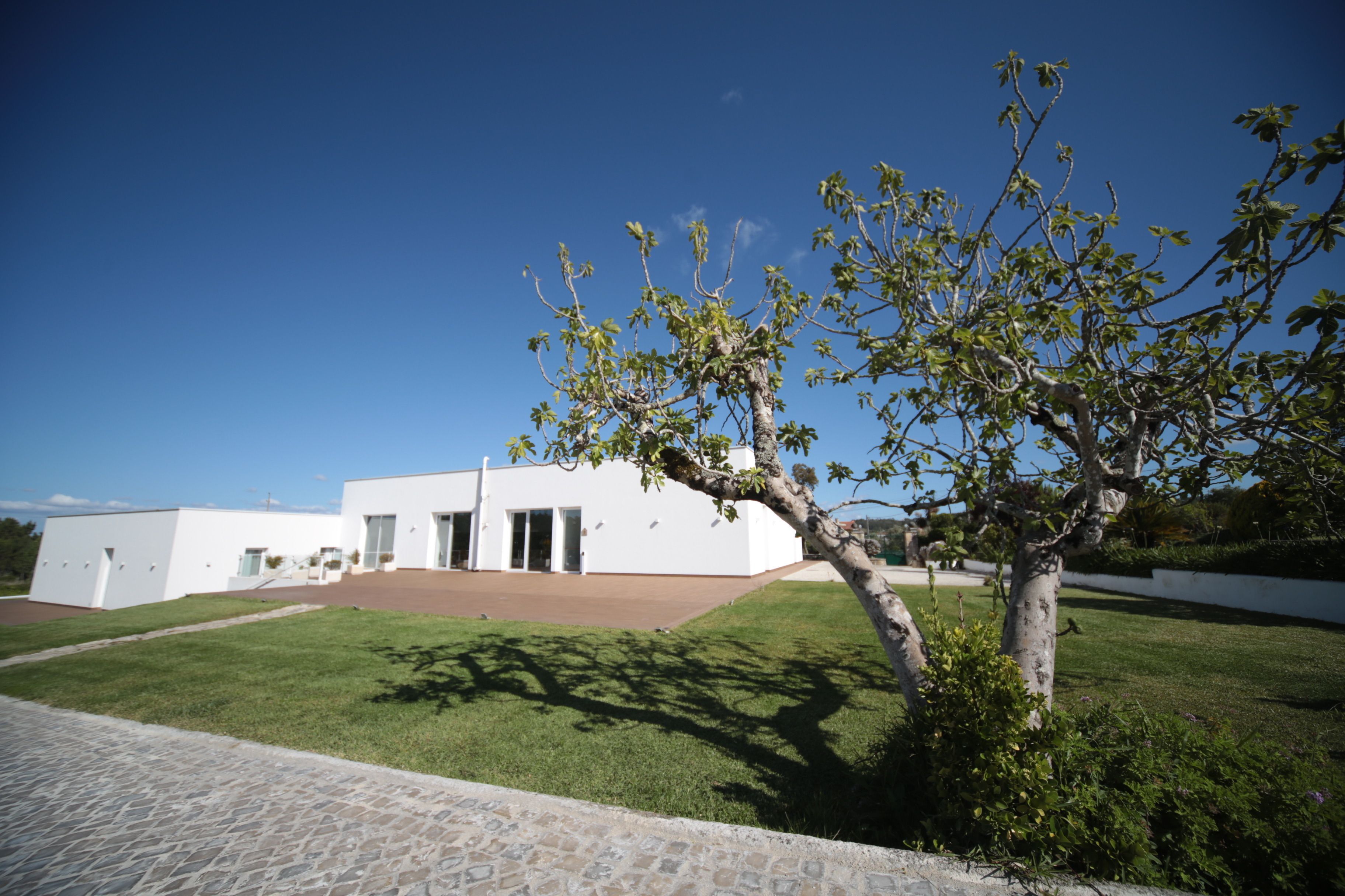 A modern building with a flat roof and a paved driveway.