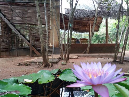 Sigiri Wilderness Resort