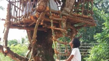 Ecotours