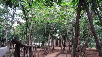 Jardin