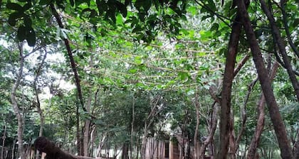 Sigiri Wilderness Resort